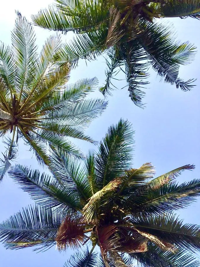 Playa Luna Hotel Cartagena